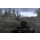 Activision Call Of Duty 4: Modern Warfare - 1403022 - zdjęcie 3